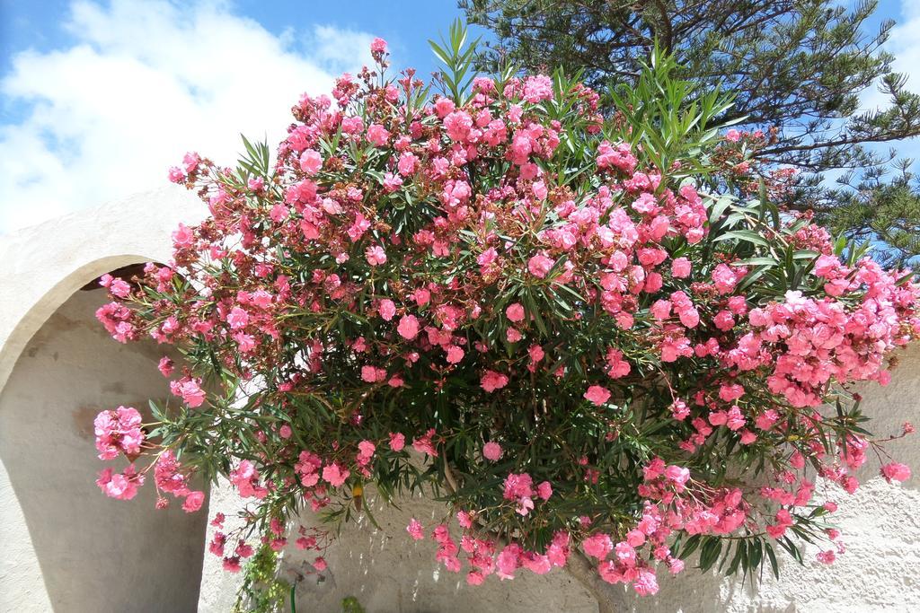 Bed and Breakfast Baglio Bellavista Torre Nubia Exterior foto